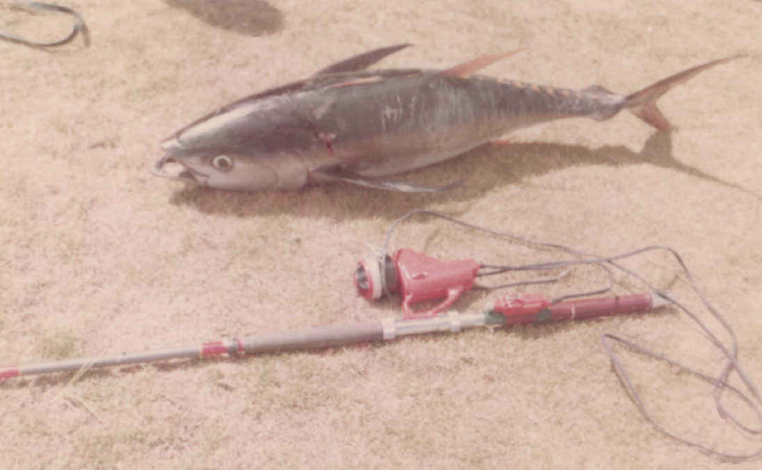 魚釣用電動リール